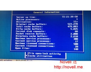 Novell NetWare Dirty Cache Buffers